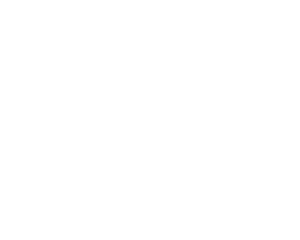 Cholla Tile