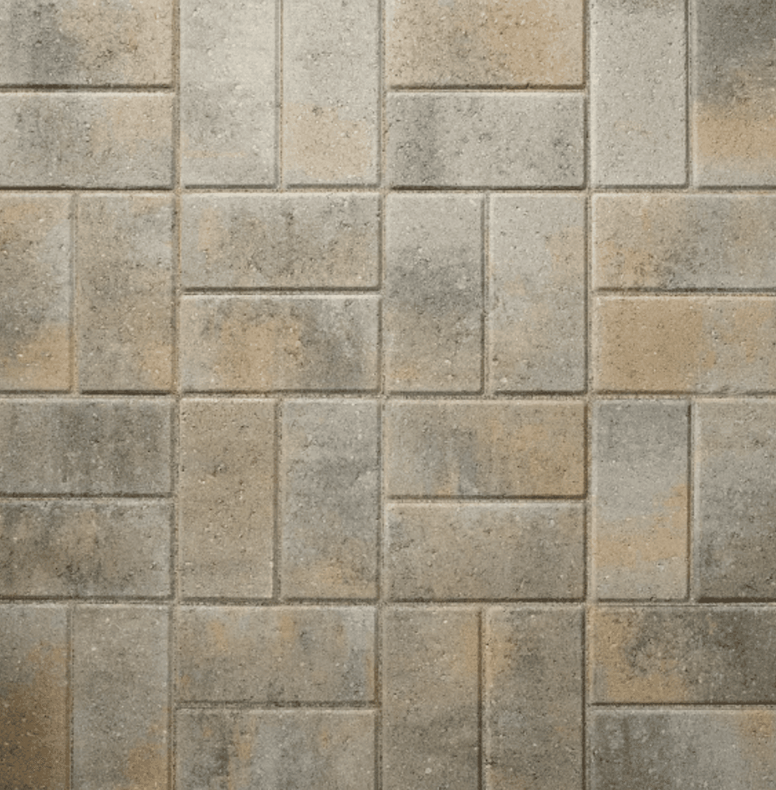 Concrete pavers used in a coordinated Arizona yard